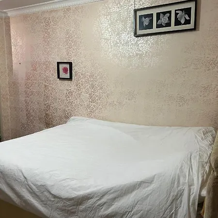 Tiger Plus 2 Apartment Istanbul